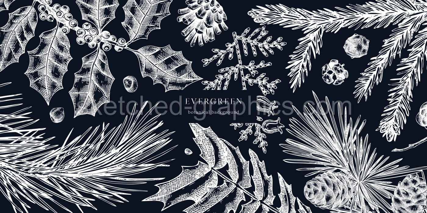 Christmas background on chalkboard. Vector frame with hand drawn conifers sketch - cypress, fir, spruce, pine, holly, yew. Vintage design for Christmas decoration. Winter trees botanical illustration Illustration